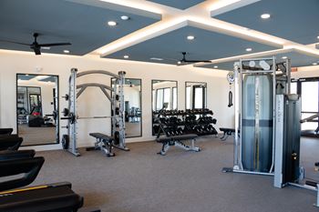 A gym with a variety of equipment including treadmills, weights, and a bench press.